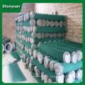 Anping SHUNYUAN usine vente directe 3ft jardin chaîne link clôture